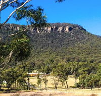 The Lolly Bug - Tourism Gold Coast