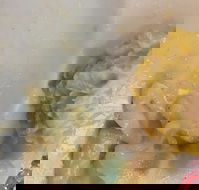 Champs Bistro - Tourism Gold Coast