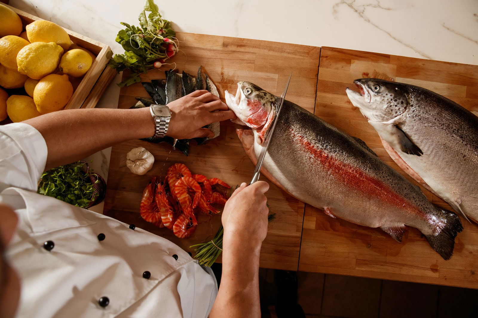 Surfers Paradise QLD Tourism Gold Coast