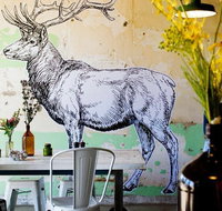 Elk Espresso - Tourism Gold Coast