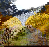 Prickly Moses Brewery - Tourism Gold Coast