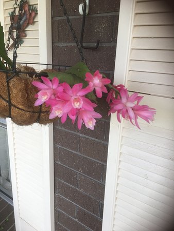 Tingha NSW Tourism Gold Coast