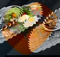 Black Squirrel - Tourism Gold Coast