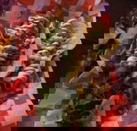 Cantina On Capri - Tourism Gold Coast