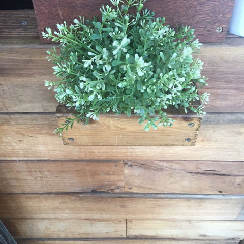 Double Mac - Tourism Gold Coast 0