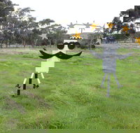 Heard it on the Grapevine - Tourism Gold Coast