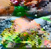 Salad Bar - Surry Hills - Tourism Gold Coast