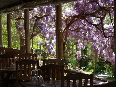 Skillogalee Winery & Restaurant - Tourism Gold Coast 2