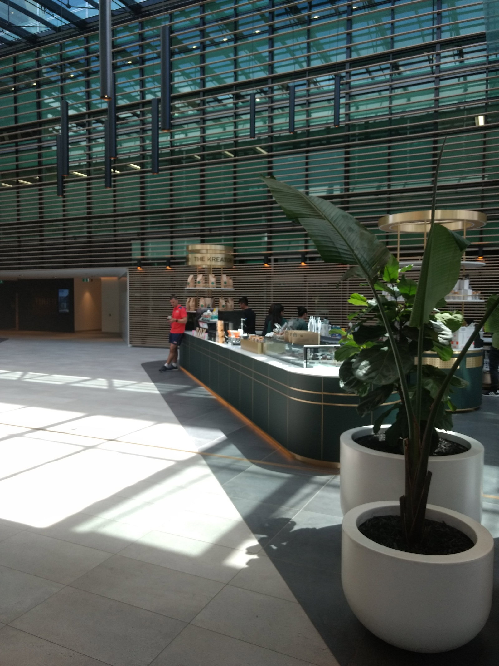 Pyrmont NSW Tourism Gold Coast