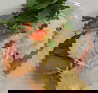 Vida Espresso - Tourism Gold Coast