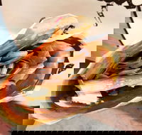 What the Flip - Tourism Gold Coast