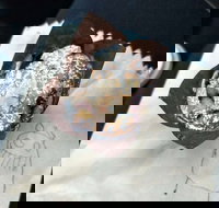 8th Nerve Cafe - Tourism Gold Coast