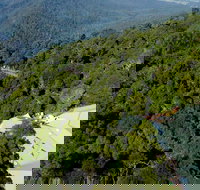 Canopy Cafe - Tourism Gold Coast