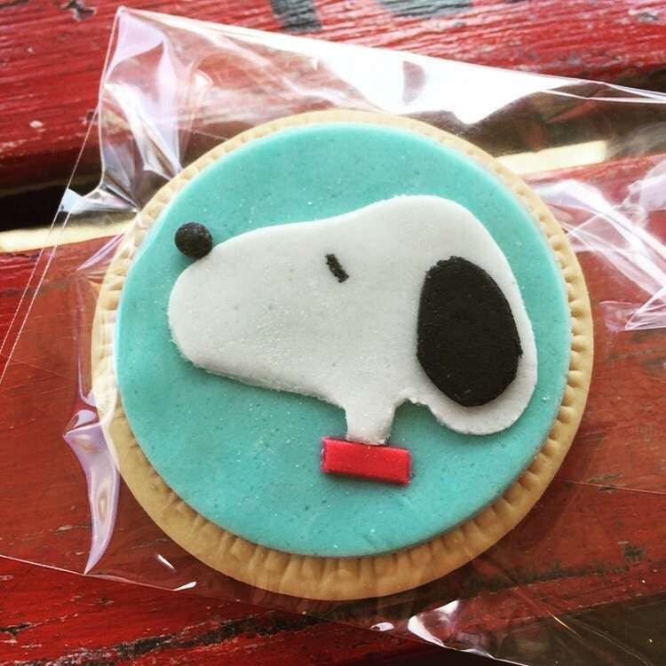 Thornleigh NSW Tourism Gold Coast