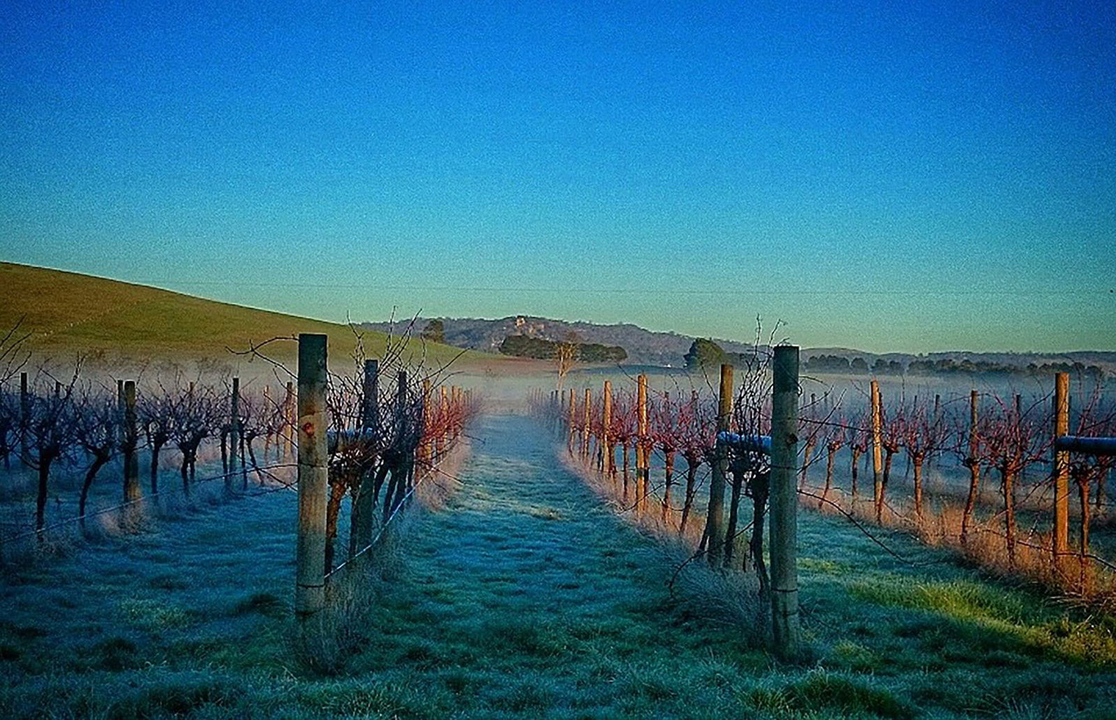 Allendale VIC Tourism Gold Coast