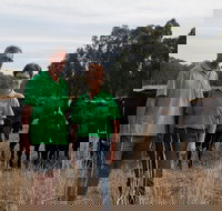 Milawa Organic Beef - Gold Coast