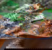 The Studio Bistro  Gallery - Tourism Gold Coast