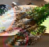 Thien An - Gold Coast