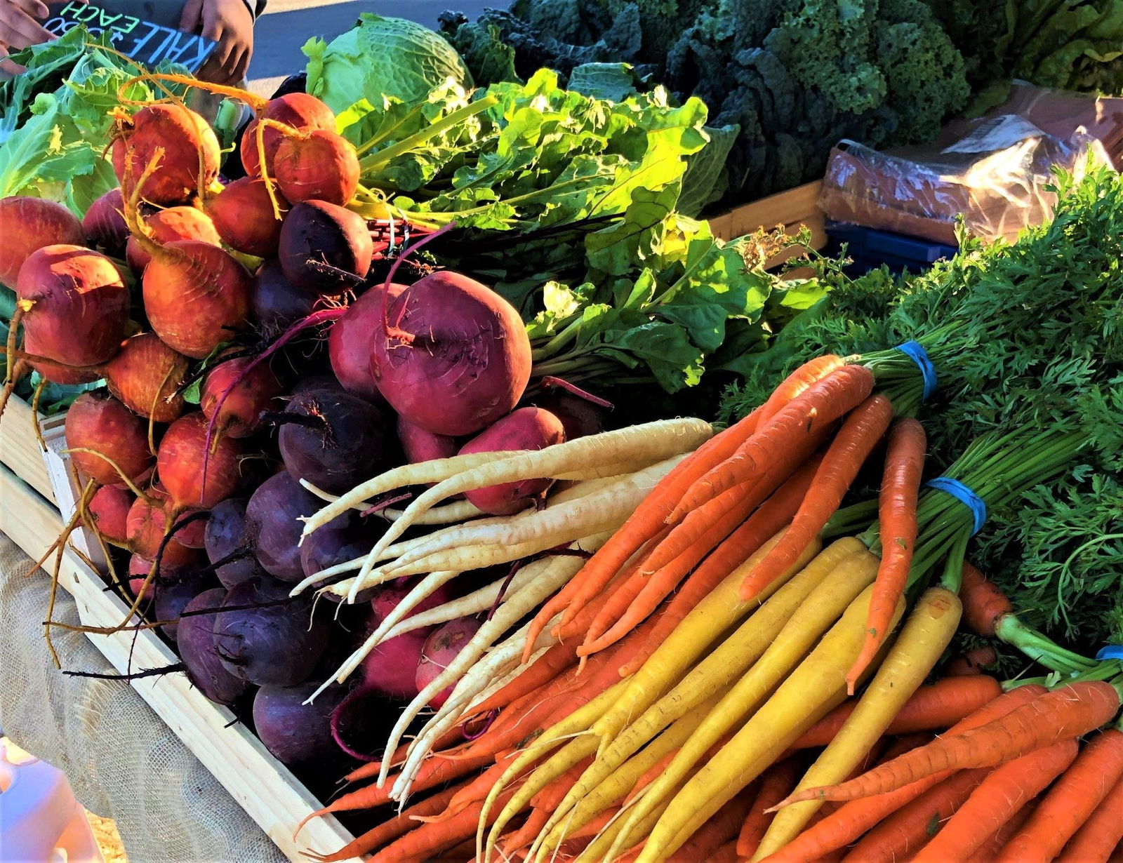 Angaston SA Tourism Gold Coast