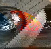 Mazadar Pakistani Food Restaurant - Tourism Gold Coast