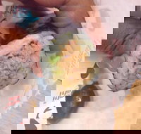 Quiksilver Bar 61 - Tourism Gold Coast