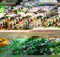 Salud Expresso Bar - Tourism Gold Coast