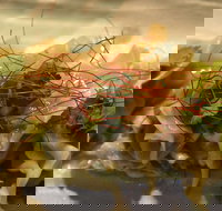 St. Hotel - Gold Coast