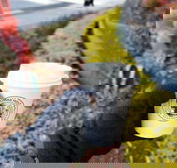 Thomas Holt Roasters - Tourism Gold Coast