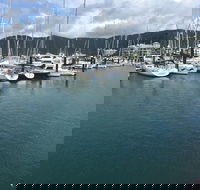Whitsunday Sailing Club - Tourism Gold Coast