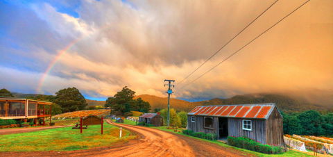 Hartzview Vineyard Heritage Pickers Hut Village - Tourism Gold Coast 0