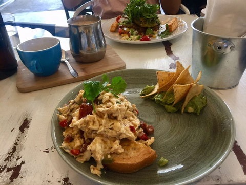 Mr Pilgrim - Tourism Gold Coast 0