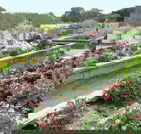 The Farmer's Place - Tourism Gold Coast