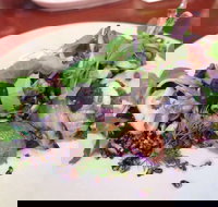 YaYa Bar and Eatery - Tourism Gold Coast