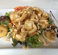 Safavi - Tourism Gold Coast