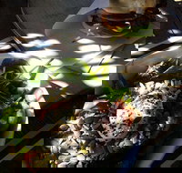 Good Cartel - Tourism Gold Coast