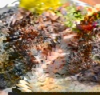 Kofte Co. - Tourism Gold Coast