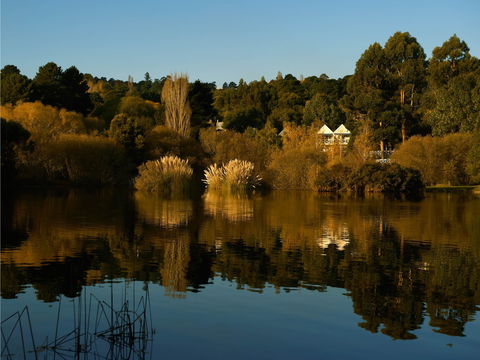 Lake House Restaurant - Tourism Gold Coast 2