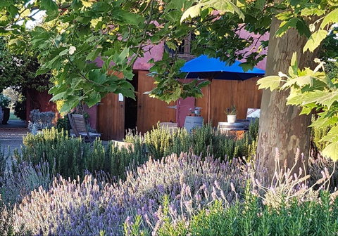 Macquariedale Organic Wines - Tourism Gold Coast 0