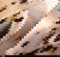 Royal Copenhagen Ice Cream - Glebe - Tourism Gold Coast