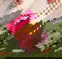 Donut King - Chermside - Tourism Gold Coast