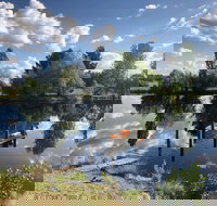 Hillbrook Hygge Cafe - Tourism Gold Coast