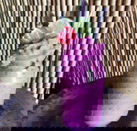 Jungle - Tourism Gold Coast