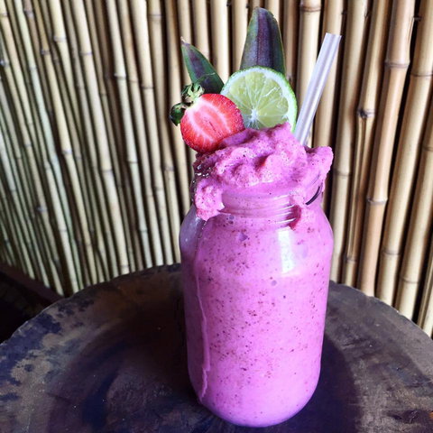 Jungle - Tourism Gold Coast 0