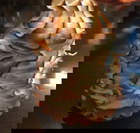 Mocha Bella - Tourism Gold Coast