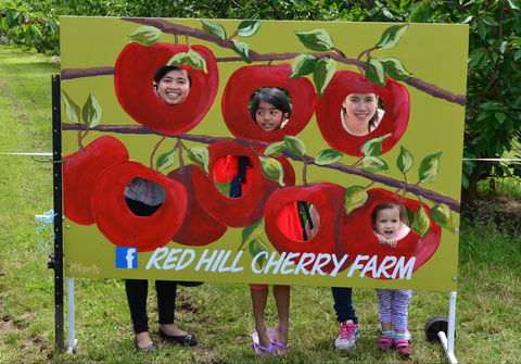Red Hill Cherry Farm - Tourism Gold Coast 1