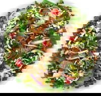 Sumo Salad - Glebe - Tourism Gold Coast