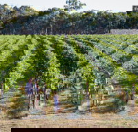 Weathercraft Wines - Gold Coast