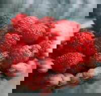 Christmas Hills Raspberry Farm Cafe - Tourism Gold Coast