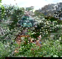 The Cidery - Tourism Gold Coast