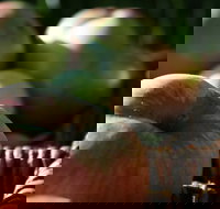 Denmark Heritage Cider Company - Tourism Gold Coast